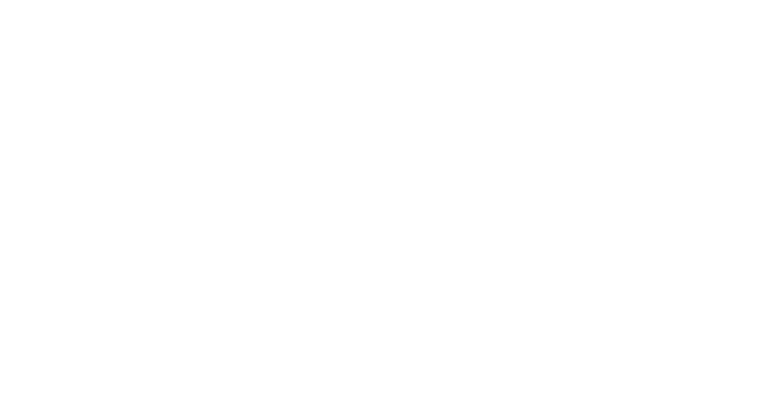 surebrands_logo_white